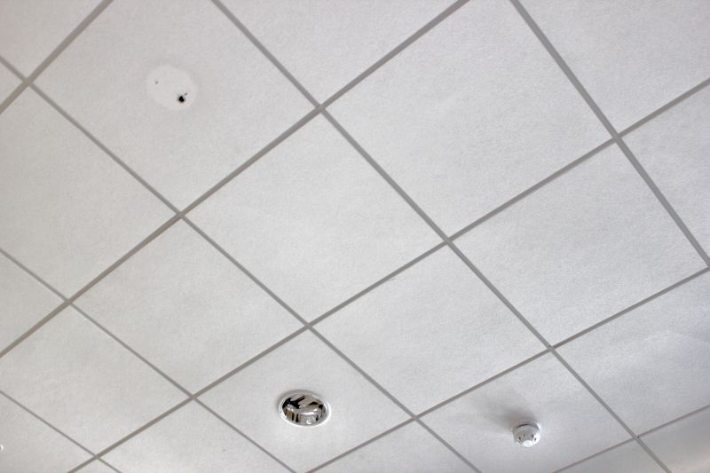 Industrial Ceiling Tile Specialists