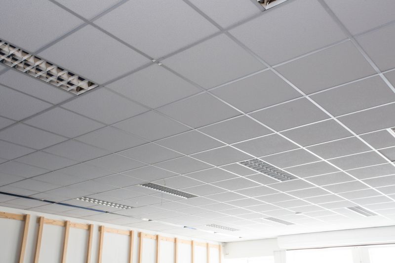 Get Professional Ceiling Tile Installation To Conceal Utilities!