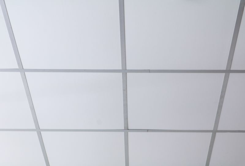 Improve Acoustic Control With Professional Ceiling Tile Installation Service!
